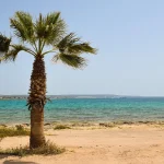 ciepła woda na których plażach