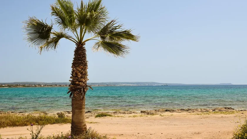 ciepła woda na których plażach